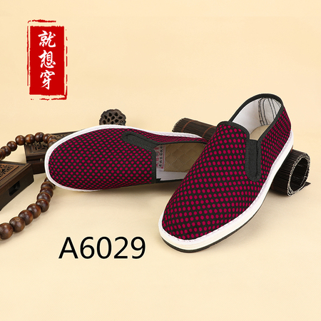 A6029