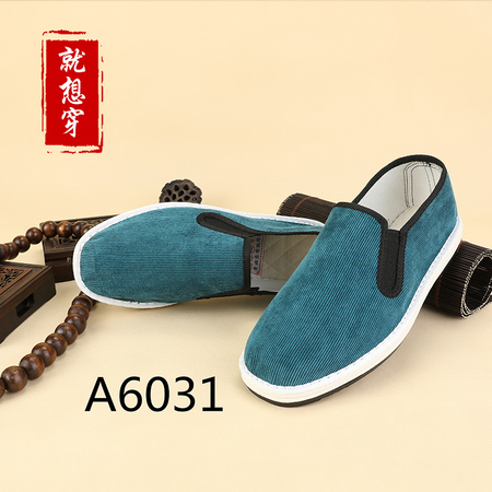 A6031